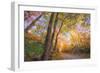 Fall Color Road, Acadia National Park, Maine-Vincent James-Framed Photographic Print