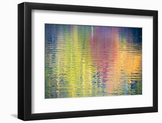 Fall Color Trees Reflected in Rippled Water-Trish Drury-Framed Premium Photographic Print