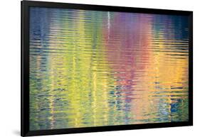 Fall Color Trees Reflected in Rippled Water-Trish Drury-Framed Photographic Print