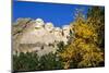 Fall color under Mount Rushmore, Mount Rushmore National Memorial, South Dakota, USA.-Russ Bishop-Mounted Photographic Print