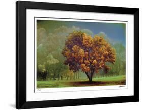 Fall Color-Donald Satterlee-Framed Giclee Print