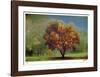 Fall Color-Donald Satterlee-Framed Giclee Print