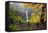 Fall Colors Add Beauty to South Silver Falls, Silver Falls State Park, Oregon-Craig Tuttle-Framed Stretched Canvas