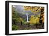 Fall Colors Add Beauty to South Silver Falls, Silver Falls State Park, Oregon-Craig Tuttle-Framed Photographic Print