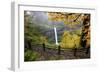 Fall Colors Add Beauty to South Silver Falls, Silver Falls State Park, Oregon-Craig Tuttle-Framed Photographic Print