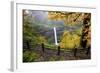 Fall Colors Add Beauty to South Silver Falls, Silver Falls State Park, Oregon-Craig Tuttle-Framed Photographic Print