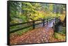 Fall Colors Add Beauty to South Trail at Silver Falls State Park, Oregon, USA-Craig Tuttle-Framed Stretched Canvas