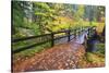 Fall Colors Add Beauty to South Trail at Silver Falls State Park, Oregon, USA-Craig Tuttle-Stretched Canvas