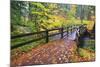 Fall Colors Add Beauty to South Trail at Silver Falls State Park, Oregon, USA-Craig Tuttle-Mounted Photographic Print