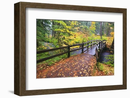 Fall Colors Add Beauty to South Trail at Silver Falls State Park, Oregon, USA-Craig Tuttle-Framed Photographic Print