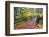 Fall Colors Add Beauty to South Trail at Silver Falls State Park, Oregon, USA-Craig Tuttle-Framed Photographic Print