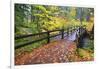 Fall Colors Add Beauty to South Trail at Silver Falls State Park, Oregon, USA-Craig Tuttle-Framed Photographic Print