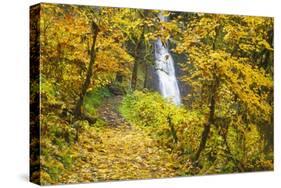 Fall Colors Add Beauty to Winter Falls, Silver Falls State Park, Oregon, Pacific Northwest-Craig Tuttle-Stretched Canvas