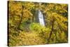 Fall Colors Add Beauty to Winter Falls, Silver Falls State Park, Oregon, Pacific Northwest-Craig Tuttle-Stretched Canvas