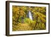 Fall Colors Add Beauty to Winter Falls, Silver Falls State Park, Oregon, Pacific Northwest-Craig Tuttle-Framed Photographic Print