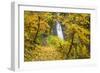 Fall Colors Add Beauty to Winter Falls, Silver Falls State Park, Oregon, Pacific Northwest-Craig Tuttle-Framed Photographic Print