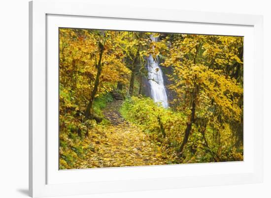 Fall Colors Add Beauty to Winter Falls, Silver Falls State Park, Oregon, Pacific Northwest-Craig Tuttle-Framed Photographic Print