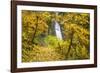 Fall Colors Add Beauty to Winter Falls, Silver Falls State Park, Oregon, Pacific Northwest-Craig Tuttle-Framed Photographic Print