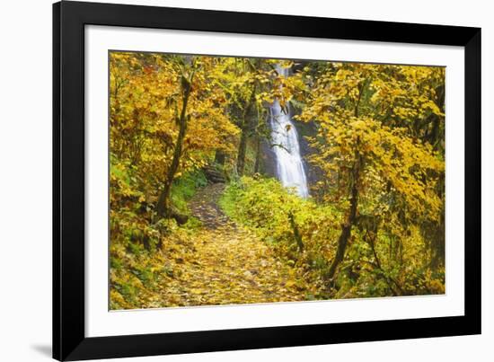 Fall Colors Add Beauty to Winter Falls, Silver Falls State Park, Oregon, Pacific Northwest-Craig Tuttle-Framed Photographic Print