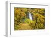 Fall Colors Add Beauty to Winter Falls, Silver Falls State Park, Oregon, Pacific Northwest-Craig Tuttle-Framed Photographic Print