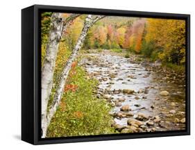 Fall Colors Along the Swift River in Maine's Northern Forest, Byron, Maine, Usa-Jerry & Marcy Monkman-Framed Stretched Canvas