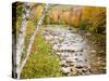 Fall Colors Along the Swift River in Maine's Northern Forest, Byron, Maine, Usa-Jerry & Marcy Monkman-Stretched Canvas