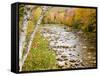 Fall Colors Along the Swift River in Maine's Northern Forest, Byron, Maine, Usa-Jerry & Marcy Monkman-Framed Stretched Canvas