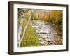 Fall Colors Along the Swift River in Maine's Northern Forest, Byron, Maine, Usa-Jerry & Marcy Monkman-Framed Photographic Print