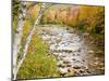 Fall Colors Along the Swift River in Maine's Northern Forest, Byron, Maine, Usa-Jerry & Marcy Monkman-Mounted Photographic Print