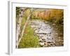 Fall Colors Along the Swift River in Maine's Northern Forest, Byron, Maine, Usa-Jerry & Marcy Monkman-Framed Photographic Print