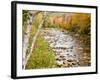 Fall Colors Along the Swift River in Maine's Northern Forest, Byron, Maine, Usa-Jerry & Marcy Monkman-Framed Photographic Print