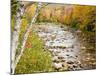 Fall Colors Along the Swift River in Maine's Northern Forest, Byron, Maine, Usa-Jerry & Marcy Monkman-Mounted Photographic Print