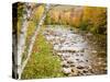 Fall Colors Along the Swift River in Maine's Northern Forest, Byron, Maine, Usa-Jerry & Marcy Monkman-Stretched Canvas