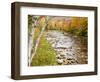 Fall Colors Along the Swift River in Maine's Northern Forest, Byron, Maine, Usa-Jerry & Marcy Monkman-Framed Photographic Print