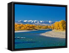 Fall Colors Along the Yellowstone River Below the Absaroka Mountains Near Springdale, Montana-John Lambing-Framed Stretched Canvas