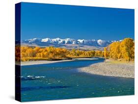 Fall Colors Along the Yellowstone River Below the Absaroka Mountains Near Springdale, Montana-John Lambing-Stretched Canvas