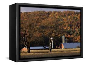 Fall Colors and a Field of Dried Soybeans in Pleasant Gap, Pennsylvania, October 20, 2006-Carolyn Kaster-Framed Stretched Canvas