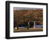 Fall Colors and a Field of Dried Soybeans in Pleasant Gap, Pennsylvania, October 20, 2006-Carolyn Kaster-Framed Photographic Print