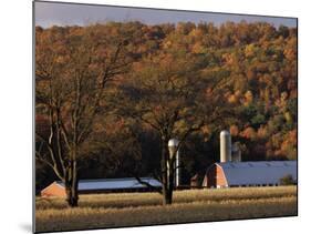 Fall Colors and a Field of Dried Soybeans in Pleasant Gap, Pennsylvania, October 20, 2006-Carolyn Kaster-Mounted Photographic Print