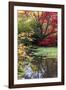 Fall Colors, Arboretum, Seattle, Washington, USA-Tom Norring-Framed Photographic Print