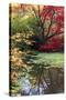 Fall Colors, Arboretum, Seattle, Washington, USA-Tom Norring-Stretched Canvas