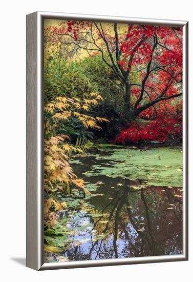 Fall Colors, Arboretum, Seattle, Washington, USA-Tom Norring-Framed Photographic Print