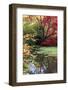 Fall Colors, Arboretum, Seattle, Washington, USA-Tom Norring-Framed Photographic Print