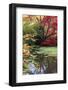 Fall Colors, Arboretum, Seattle, Washington, USA-Tom Norring-Framed Photographic Print