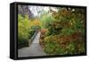 Fall Colors, Crystal Spring Garden, Portland, Oregon-Craig Tuttle-Framed Stretched Canvas