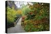 Fall Colors, Crystal Spring Garden, Portland, Oregon-Craig Tuttle-Stretched Canvas