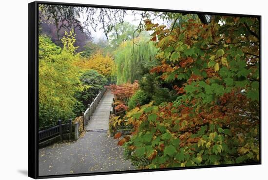 Fall Colors, Crystal Spring Garden, Portland, Oregon-Craig Tuttle-Framed Stretched Canvas