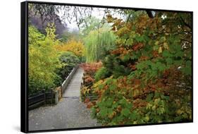 Fall Colors, Crystal Spring Garden, Portland, Oregon-Craig Tuttle-Framed Stretched Canvas