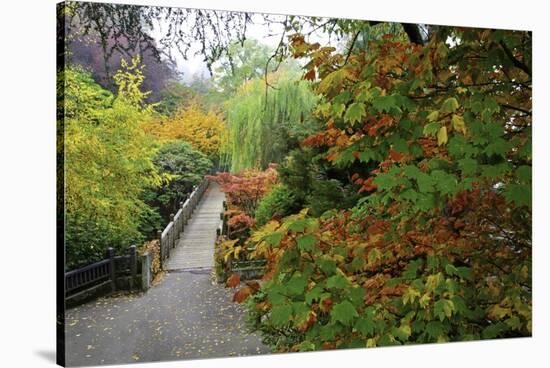 Fall Colors, Crystal Spring Garden, Portland, Oregon-Craig Tuttle-Stretched Canvas