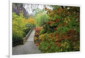 Fall Colors, Crystal Spring Garden, Portland, Oregon-Craig Tuttle-Framed Photographic Print